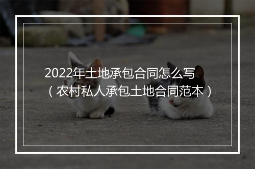 2022年土地承包合同怎么写（农村私人承包土地合同范本）