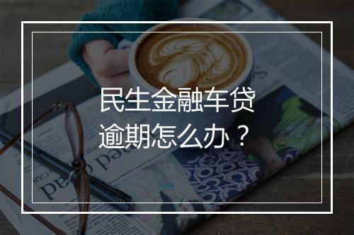 民生金融车贷逾期怎么办？