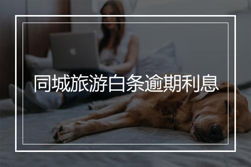 同城旅游白条逾期利息