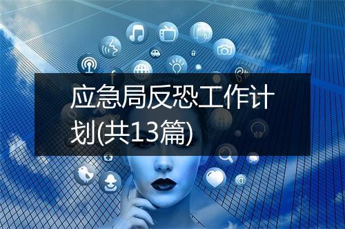 应急局反恐工作计划(共13篇)
