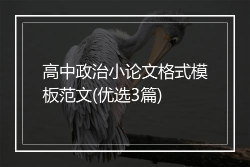 高中政治小论文格式模板范文(优选3篇)