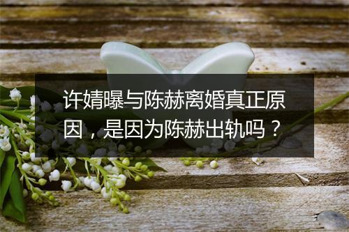 许婧曝与陈赫离婚真正原因，是因为陈赫出轨吗？