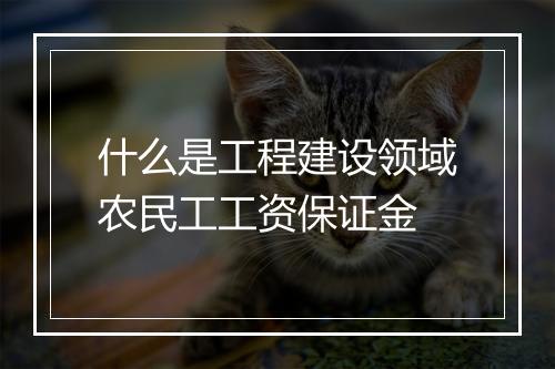 什么是工程建设领域农民工工资保证金