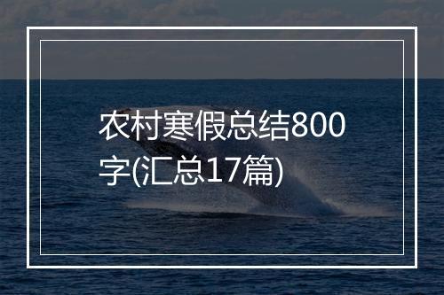 农村寒假总结800字(汇总17篇)