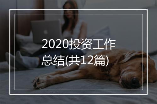 2020投资工作总结(共12篇)