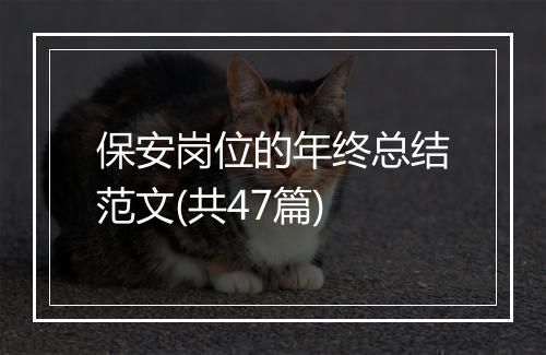 保安岗位的年终总结范文(共47篇)