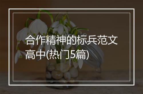 合作精神的标兵范文高中(热门5篇)