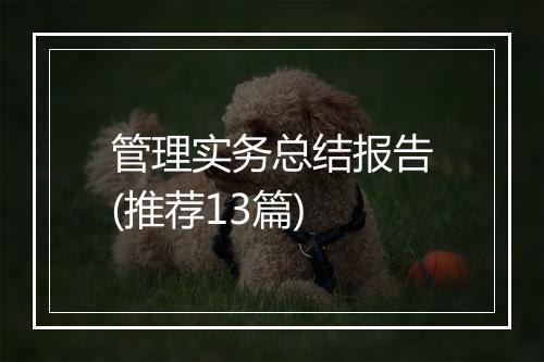 管理实务总结报告(推荐13篇)