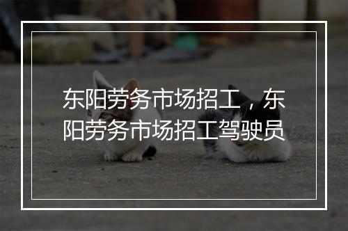 东阳劳务市场招工，东阳劳务市场招工驾驶员