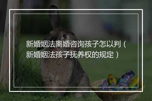 新婚姻法离婚咨询孩子怎以判（新婚姻法孩子抚养权的规定）