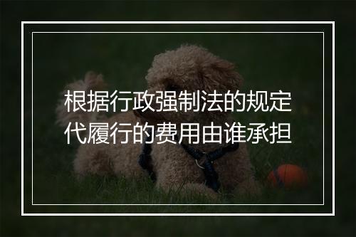 根据行政强制法的规定代履行的费用由谁承担