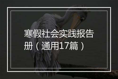 寒假社会实践报告册（通用17篇）