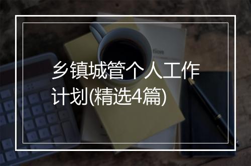 乡镇城管个人工作计划(精选4篇)