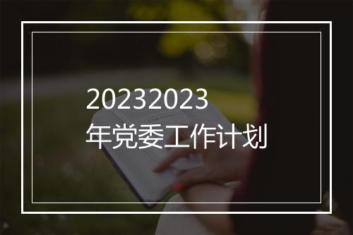 20232023年党委工作计划