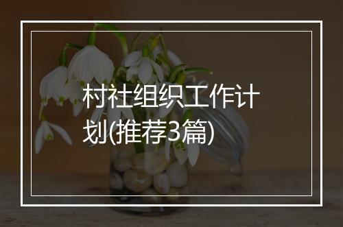 村社组织工作计划(推荐3篇)