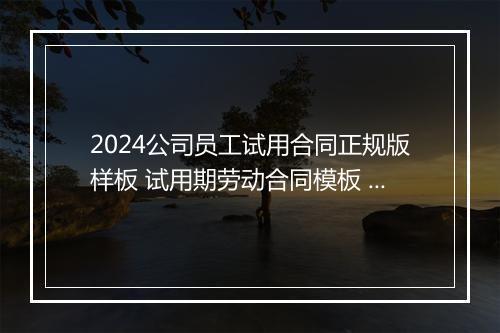 2024公司员工试用合同正规版样板 试用期劳动合同模板 简单