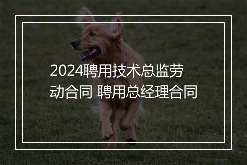 2024聘用技术总监劳动合同 聘用总经理合同