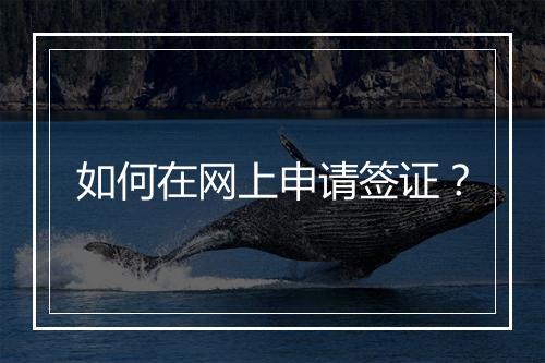 如何在网上申请签证？