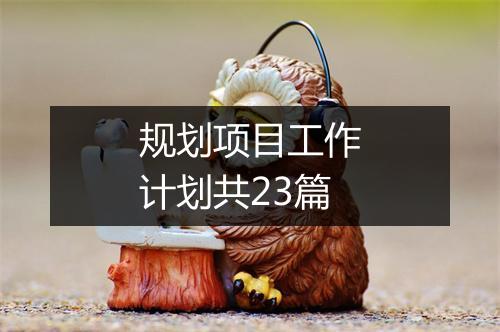 规划项目工作计划共23篇