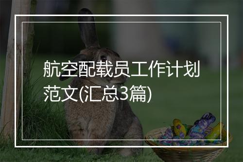 航空配载员工作计划范文(汇总3篇)