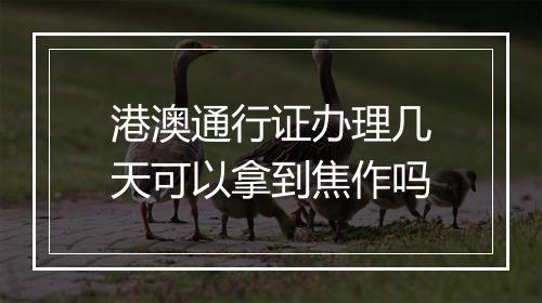 港澳通行证办理几天可以拿到焦作吗