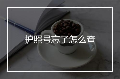护照号忘了怎么查