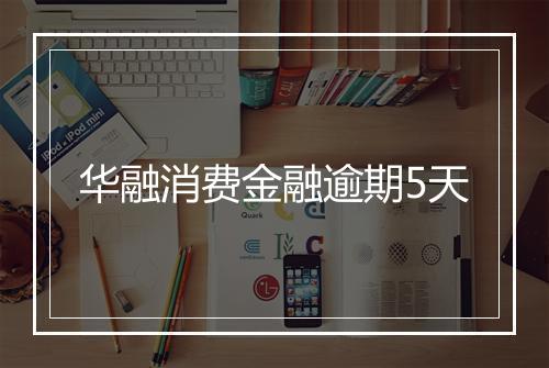 华融消费金融逾期5天