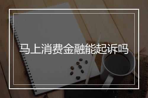 马上消费金融能起诉吗