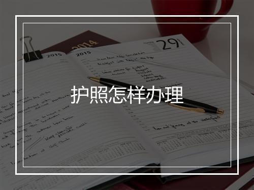 护照怎样办理