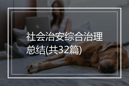 社会治安综合治理总结(共32篇)