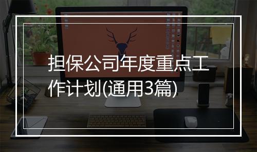 担保公司年度重点工作计划(通用3篇)