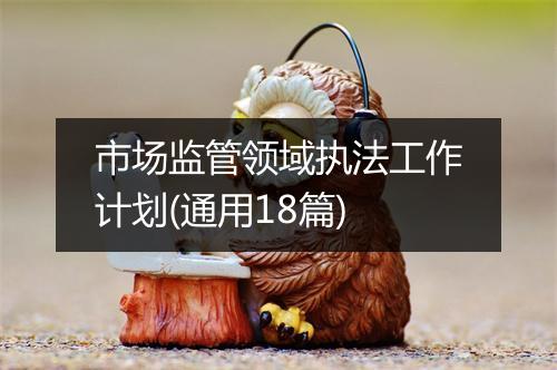市场监管领域执法工作计划(通用18篇)