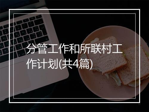 分管工作和所联村工作计划(共4篇)