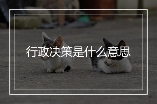 行政决策是什么意思