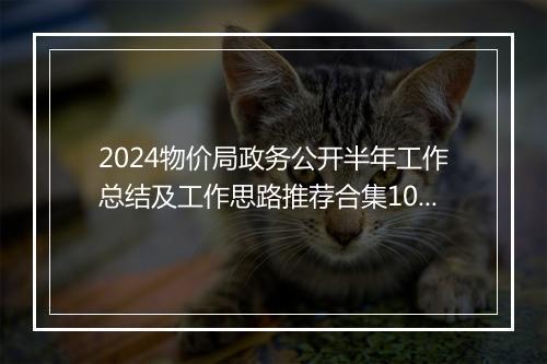 2024物价局政务公开半年工作总结及工作思路推荐合集10篇