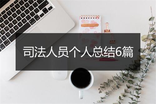 司法人员个人总结6篇