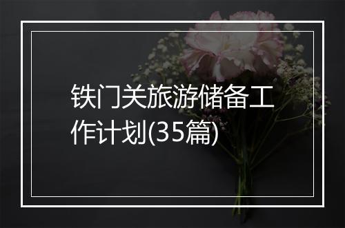 铁门关旅游储备工作计划(35篇)