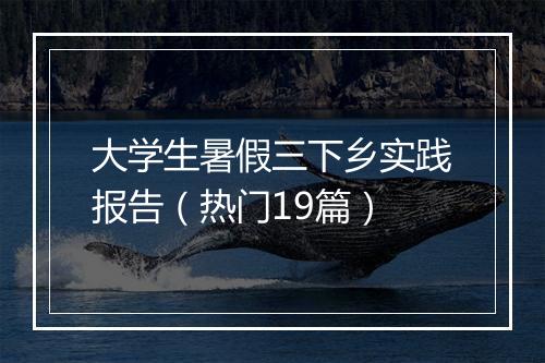 大学生暑假三下乡实践报告（热门19篇）