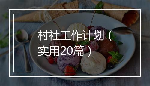 村社工作计划（实用20篇）