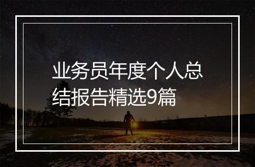 业务员年度个人总结报告精选9篇