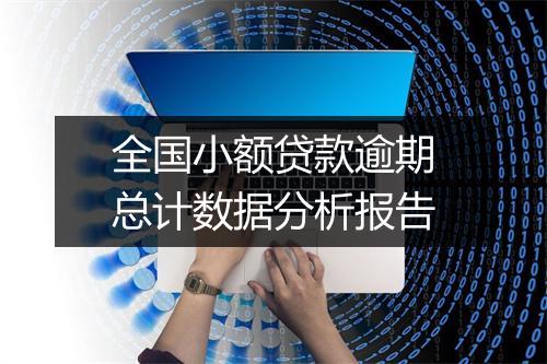 全国小额贷款逾期总计数据分析报告