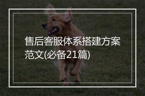 售后客服体系搭建方案范文(必备21篇)