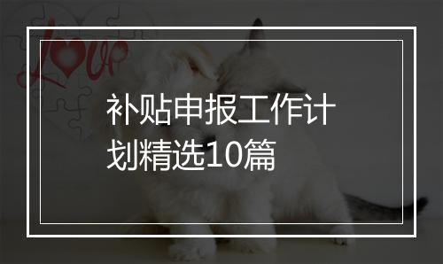 补贴申报工作计划精选10篇