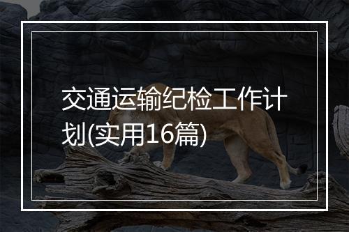 交通运输纪检工作计划(实用16篇)
