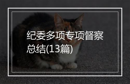 纪委多项专项督察总结(13篇)