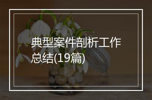 典型案件剖析工作总结(19篇)