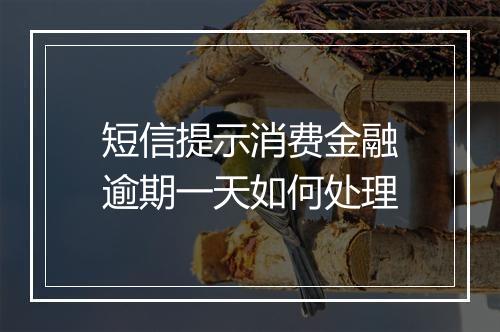 短信提示消费金融逾期一天如何处理