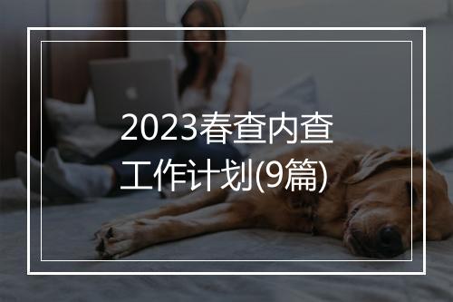 2023春查内查工作计划(9篇)
