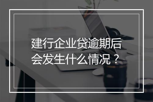 建行企业贷逾期后会发生什么情况？