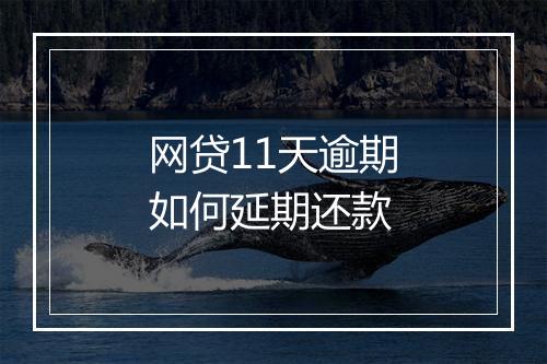 网贷11天逾期如何延期还款